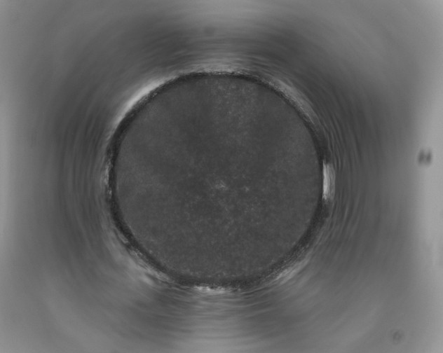 X0000091950723200709201322