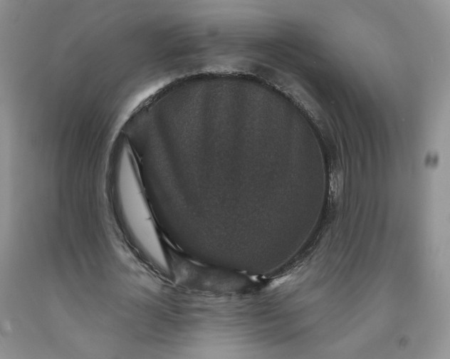 X0000091950724200709201322