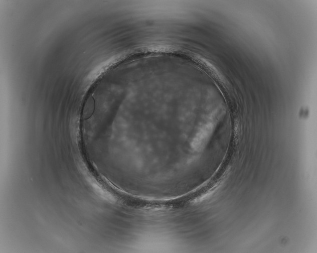 X0000091950725200709201322