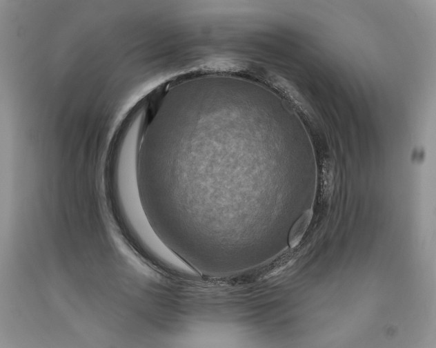 X0000091950726200709201322