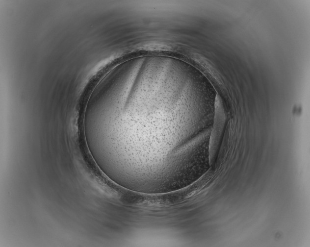 X0000091950727200709201322