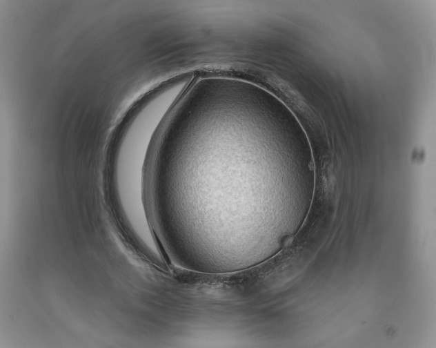 X0000091950728200709201322