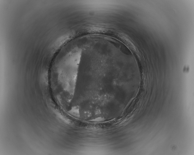 X0000091950729200709201322