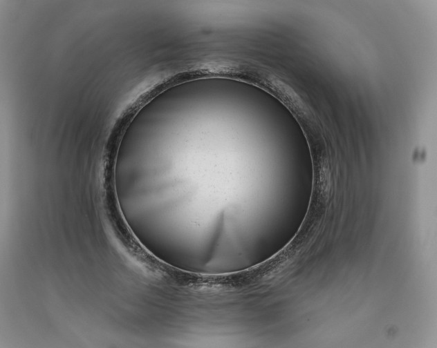 X0000091950730200709201322