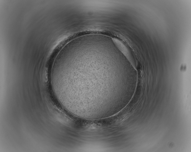 X0000091950731200709201322