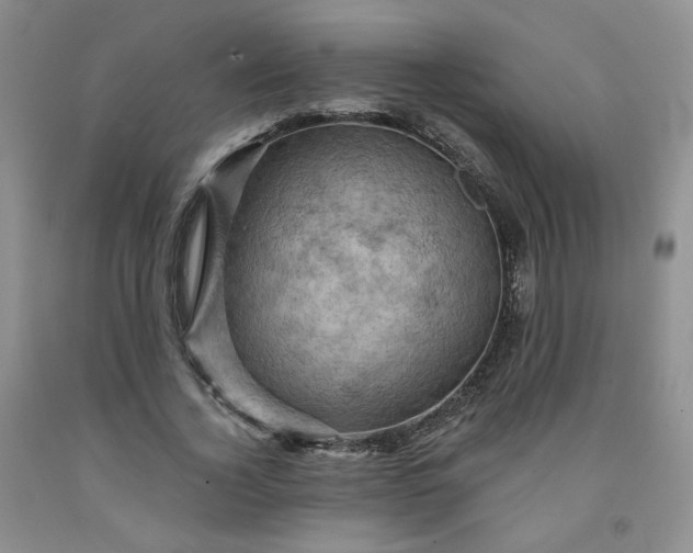 X0000091950732200709201322