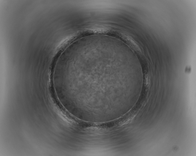 X0000091950733200709201322