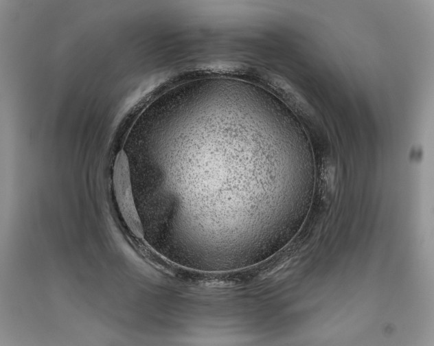 X0000091950734200709201322