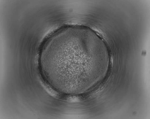 X0000091950735200709201322