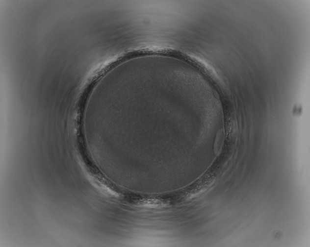 X0000091950736200709201322