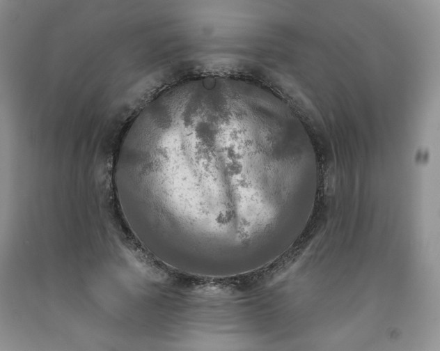 X0000091950737200709201322