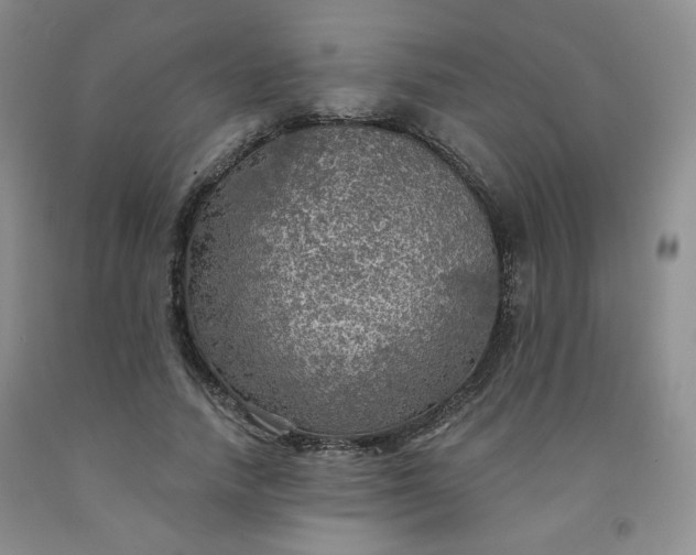 X0000091950738200709201322