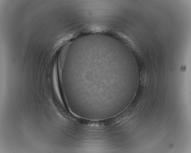 X0000091950740200709201322