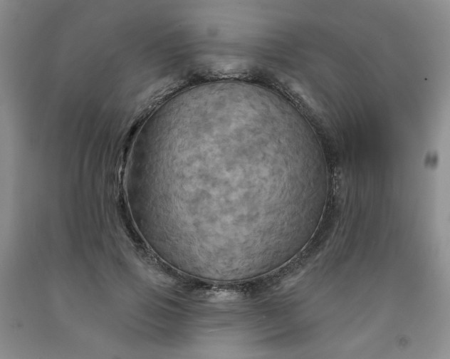 X0000091950741200709201322