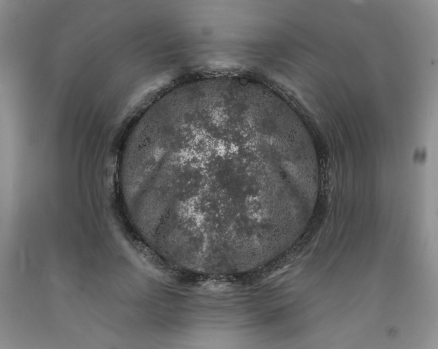 X0000091950742200709201322