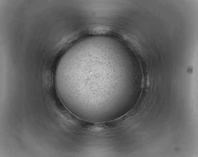 X0000091950743200709201322