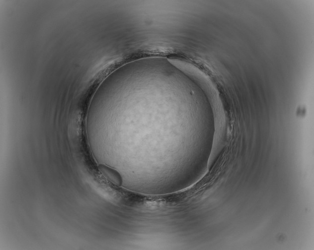 X0000091950744200709201322