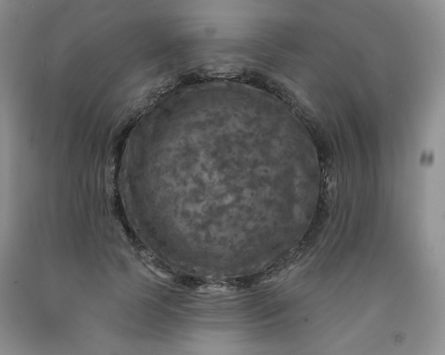 X0000091950745200709201322