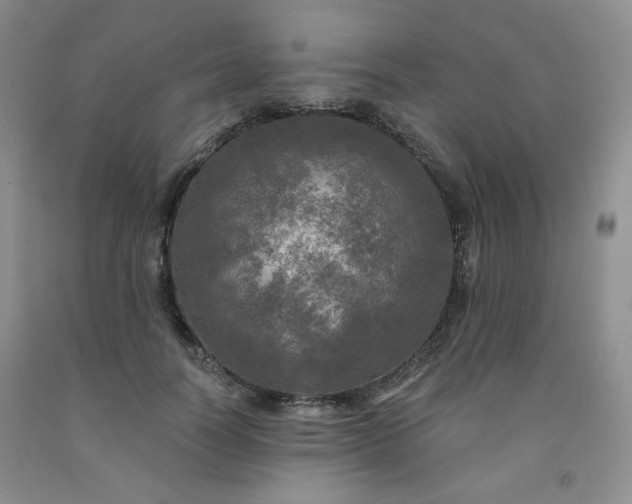 X0000091950746200709201322