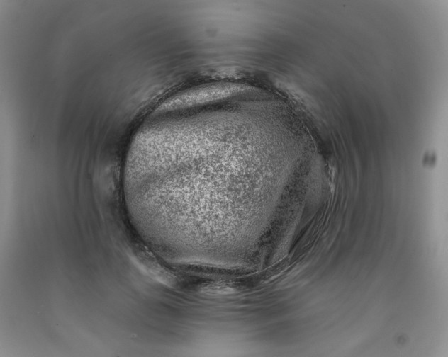 X0000091950747200709201322