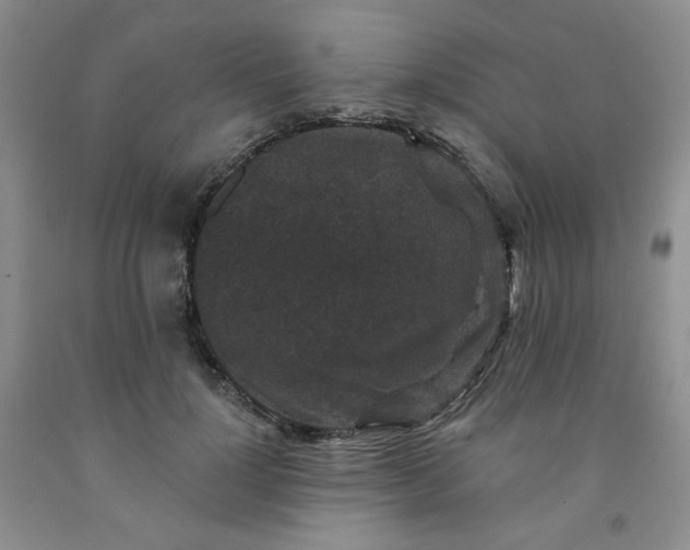 X0000091950748200709201322