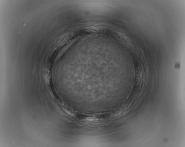 X0000091950749200709201322