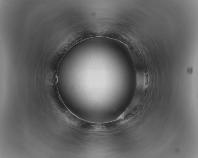 X0000091950750200709201322