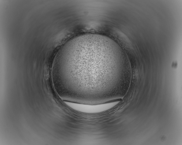 X0000091950751200709201322