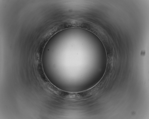 X0000091950752200709201322