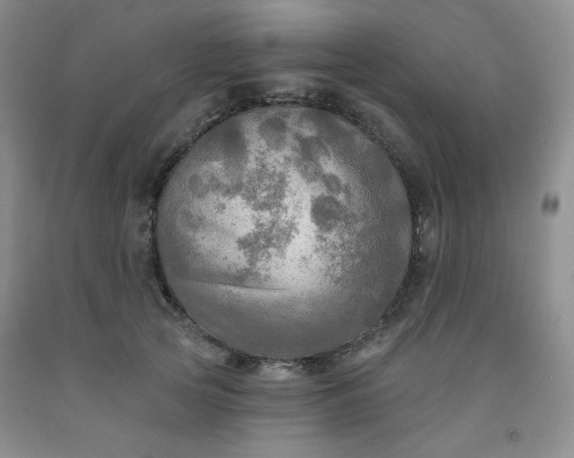 X0000091950753200709201322