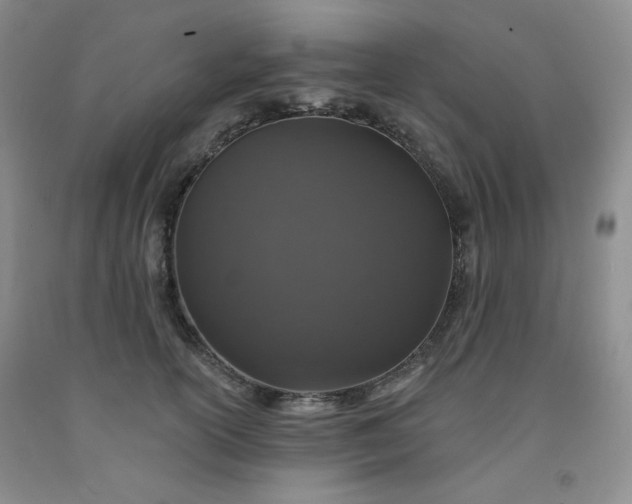 X0000091950754200709201322