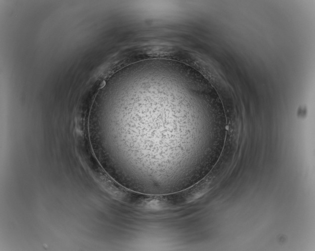 X0000091950755200709201322