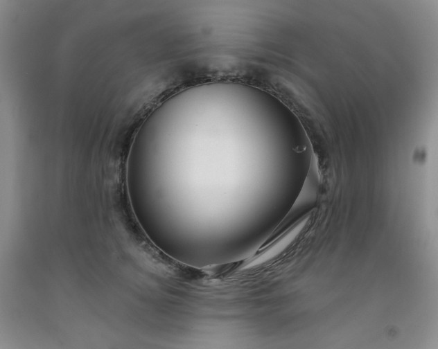 X0000091950756200709201322