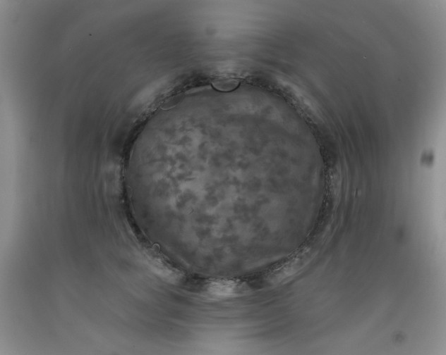 X0000091950757200709201322