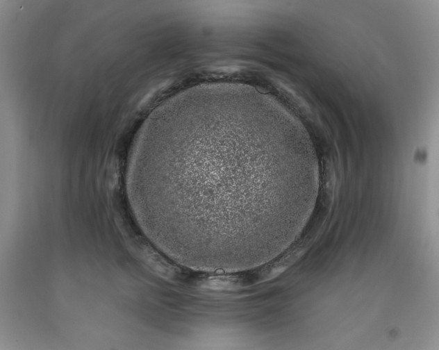 X0000091950758200709201322