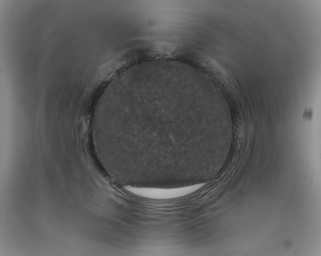 X0000091950759200709201322