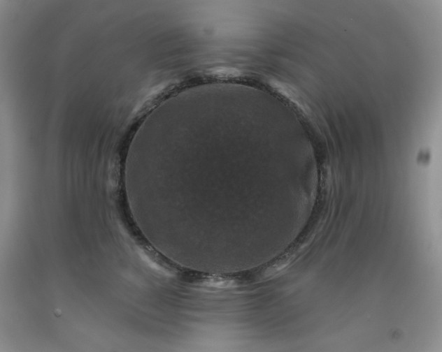 X0000091950760200709201322