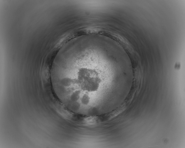 X0000091950761200709201322