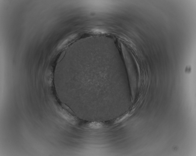 X0000091950762200709201322