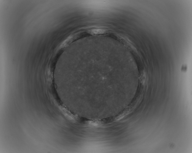 X0000091950763200709201322