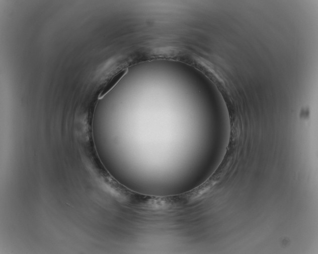 X0000091950764200709201322