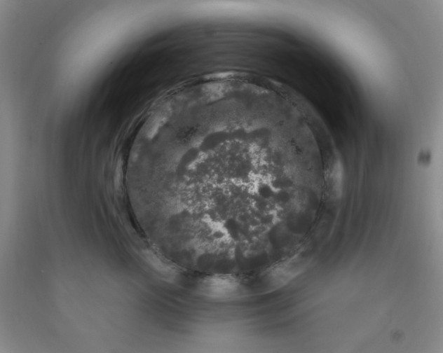 X0000091950765200709201322