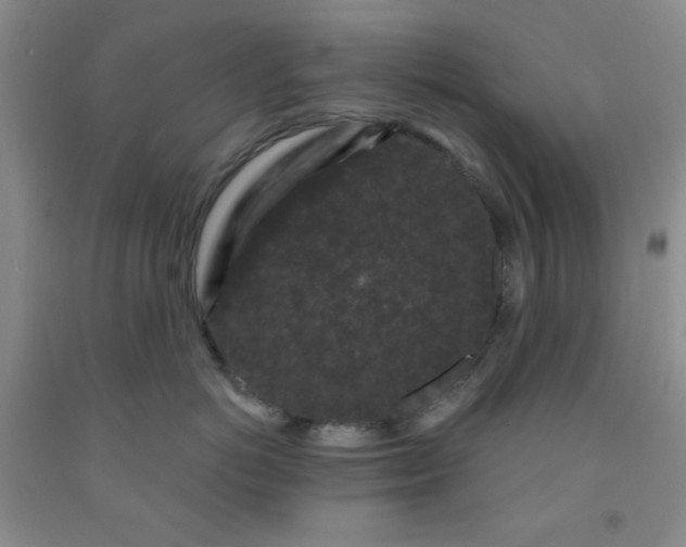 X0000091950766200709201322