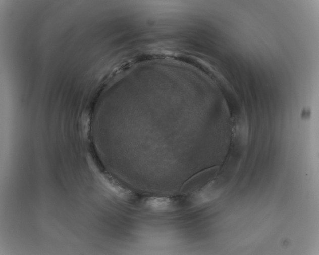 X0000091950767200709201322