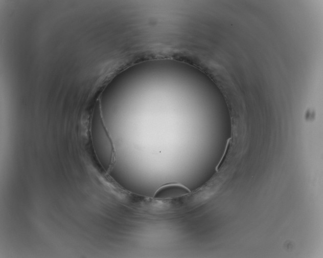 X0000091950768200709201322