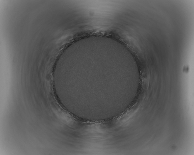 X0000091950769200709201322