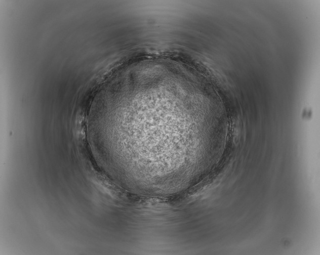 X0000091950770200709201322