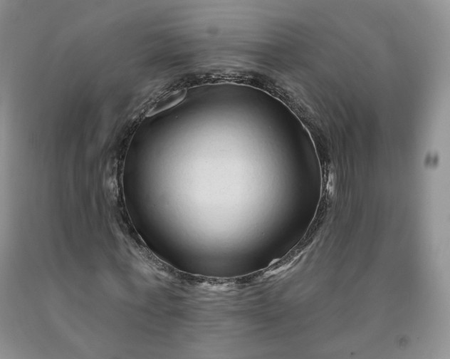 X0000091950771200709201322