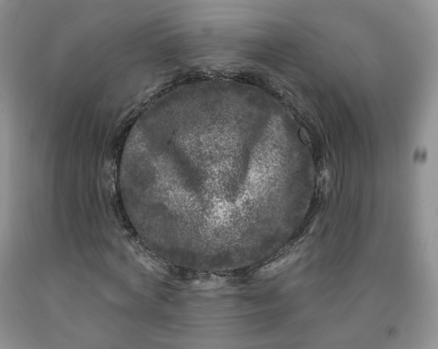 X0000091950772200709201322