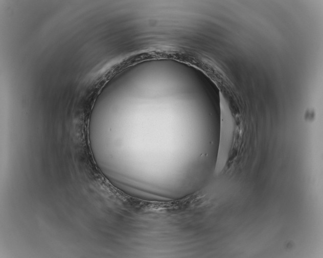 X0000091950773200709201321